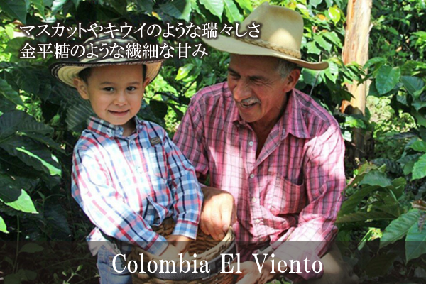 【503】∵25∵コロンビア　エル・ヴィエント(200g)
