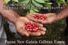 パプアニューギニア　コルブラン農園