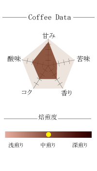【411】∵10∵コスタリカ　プエンテ・タラス(200g)