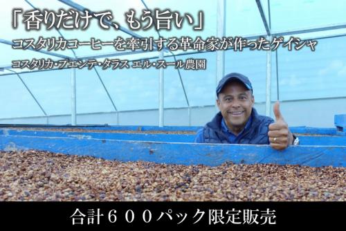 【2025S1】∵36∵コスタリカ・シュマバ　ゲイシャ・ナチュラル ※12月限定出荷/100g