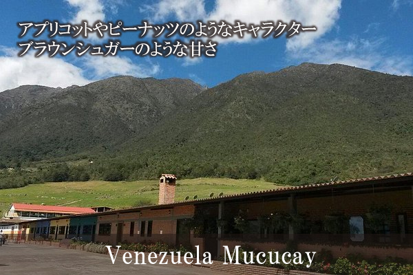 【608】∵39∵ベネズエラ　ムクカイ農園(200g)