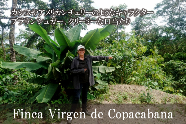 【605】∵11∵ボリビア　コパカバーナ農園(200g)