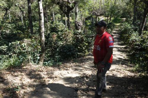 【312】∵10∵グアテマラ　サン・ホセ農園(200g)