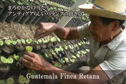 グアテマラ　マクロロット　（中深煎り）