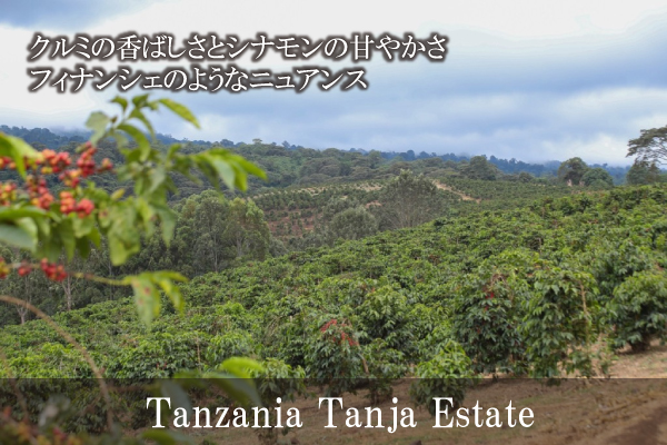 【807】∵26∵タンザニア　タンジャ(200g)