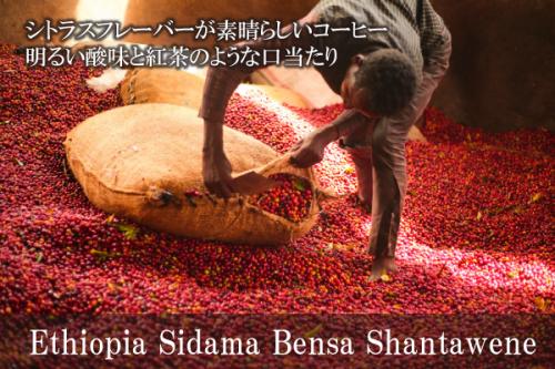 【106】∵26∵エチオピア・シダモ　ベンサ・シャンタワネ　ナチュラル(200g)