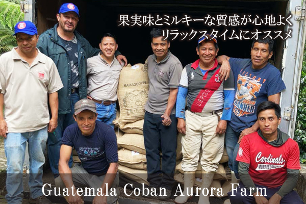 【309】∵26∵グアテマラ コバン・オーロラ農園(200g)