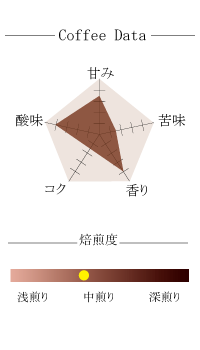【111】∵40∵エチオピア　イルガチェフェG1　アリーチャ (200g)