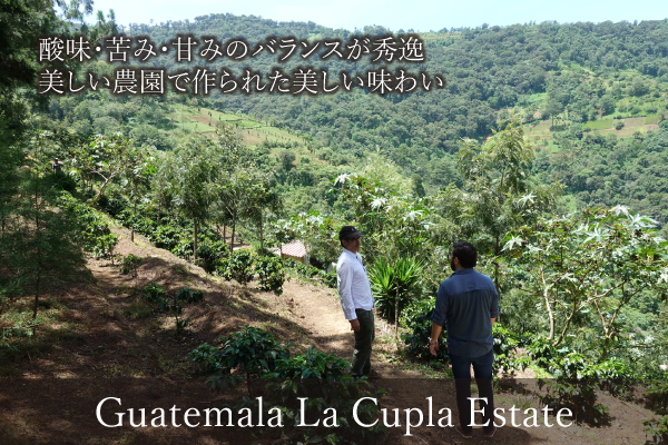【302】∵6∵グアテマラ・ラ・クプラ農園(200g)