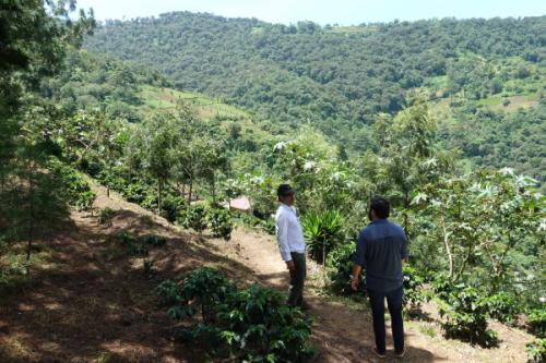 【302】∵6∵グアテマラ・ラ・クプラ農園(200g)