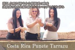 コスタリカ　プエンテ・タラス