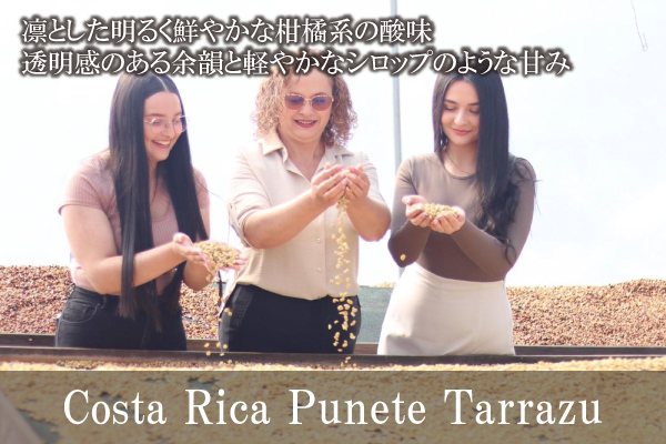 【411】∵10∵コスタリカ　プエンテ・タラス(200g)